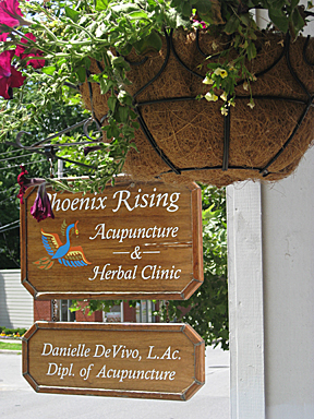 Saratoga Springs Acupuncture Saratoga Springs Acupuncture